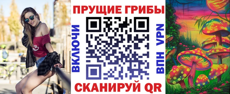 площадка наркотические препараты  Урюпинск  Псилоцибиновые грибы мицелий  мега ONION 